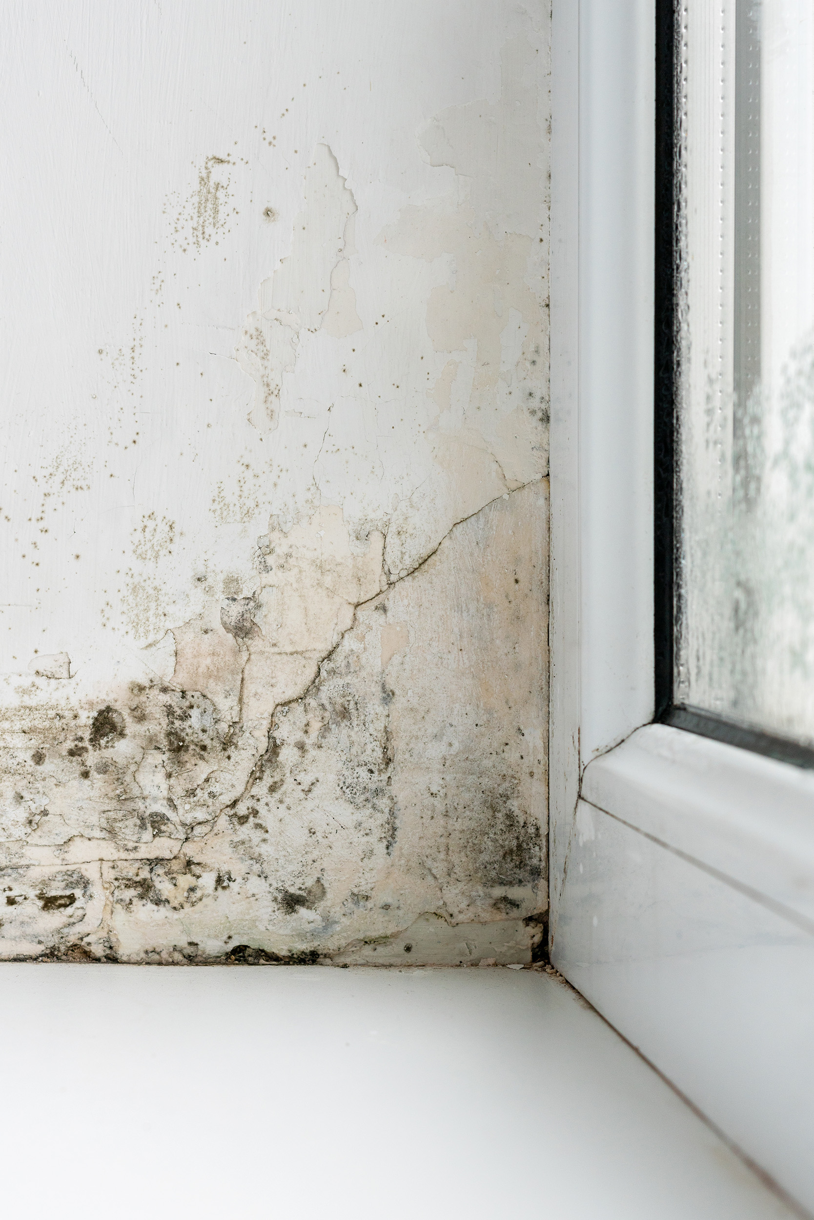 Five Signs It’s Time to Replace your Windows